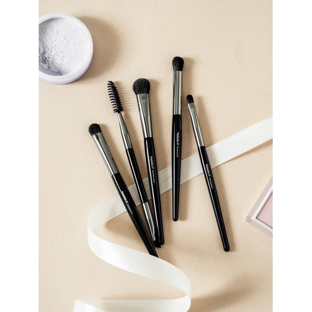 Daiso Palette 17 Eye Makeup Brush Set Of 5