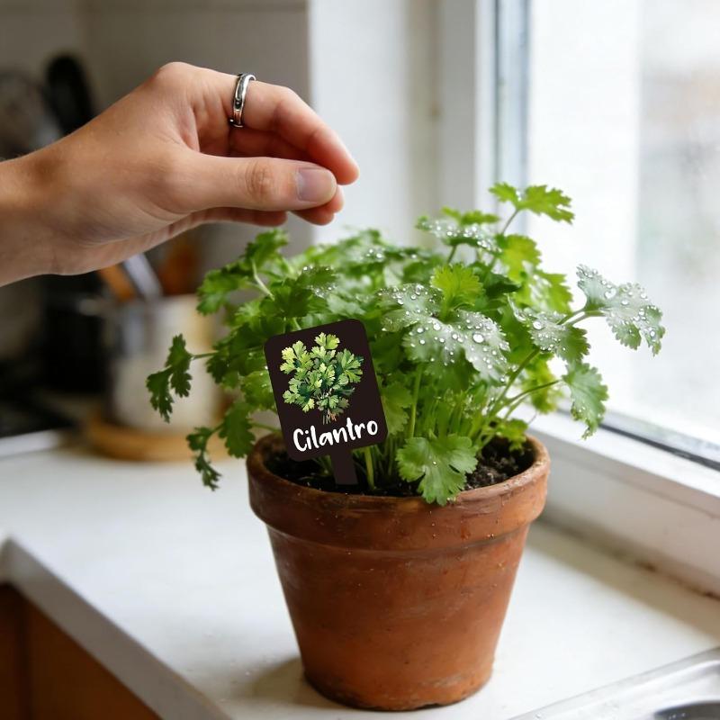 12 stuks Acryl Tuinkruidenborden, Kruidentuin Plantenetiketten Markers voor Buiten Labels Borden met Gedrukte Naam Tuinen Planten Potplanten