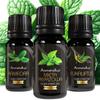 Oil for a Runny Nose - Natural Essential Oils for a Runny Nose | 3 X 10