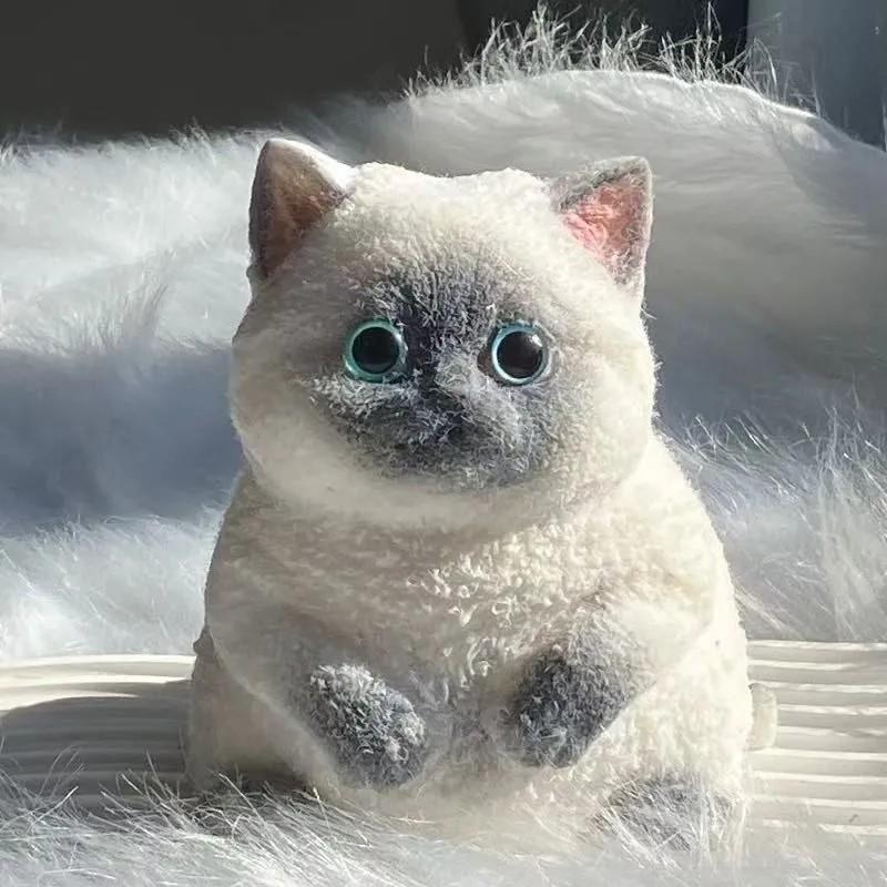 Big Taba Cat,Cat Taba ,Taba Cat Toys,Adorable Cat,Rubber Cat, For Party And Birthday