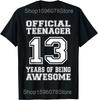 Dreizehn Offizielle Niedliche Teenager 13. Geburtstag T-Shirts Unisex Streetwear T-Shirt Kurzarm Unisex Lockere Kleidung