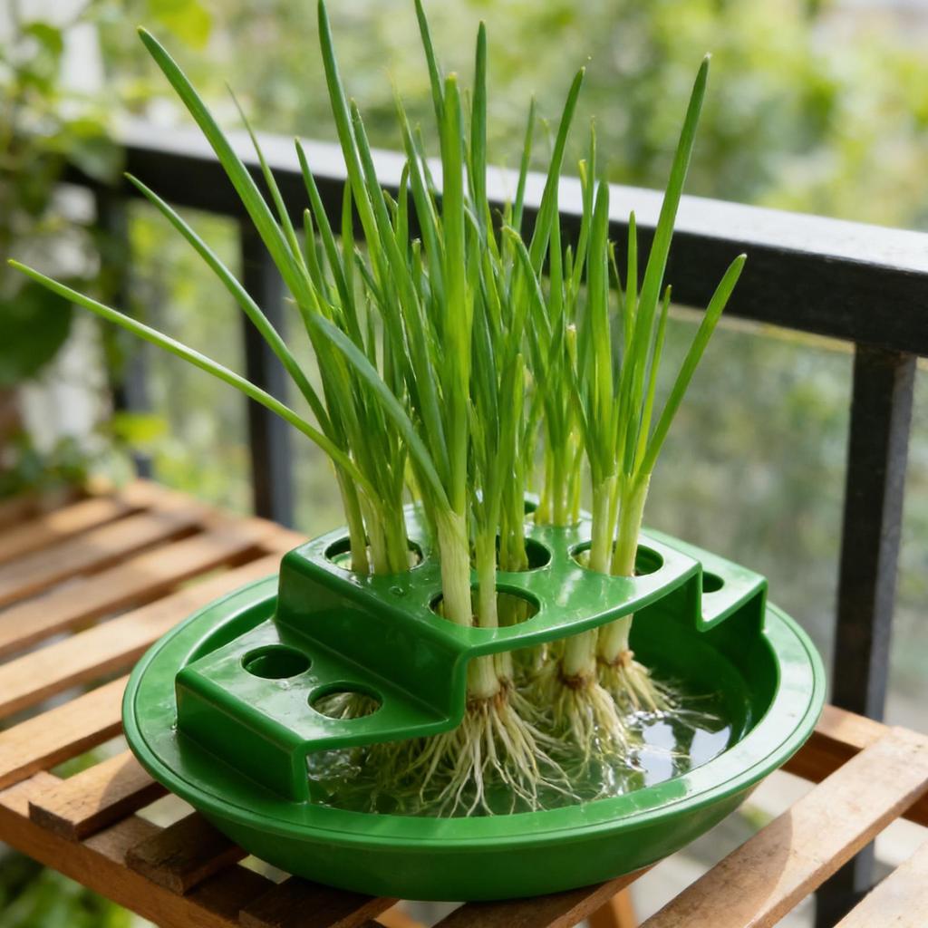 Hydroponic Scallion Growing Pot Seedling Starter Tray Planter Box Kit for Kitchen Regrow Vegetables Onion Celery Indoor Home