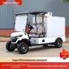 Electric Sightseeing and Delivery Van for Hotels and Campuses