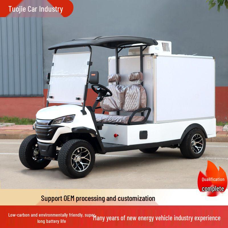 Electric Sightseeing and Delivery Van for Hotels and Campuses