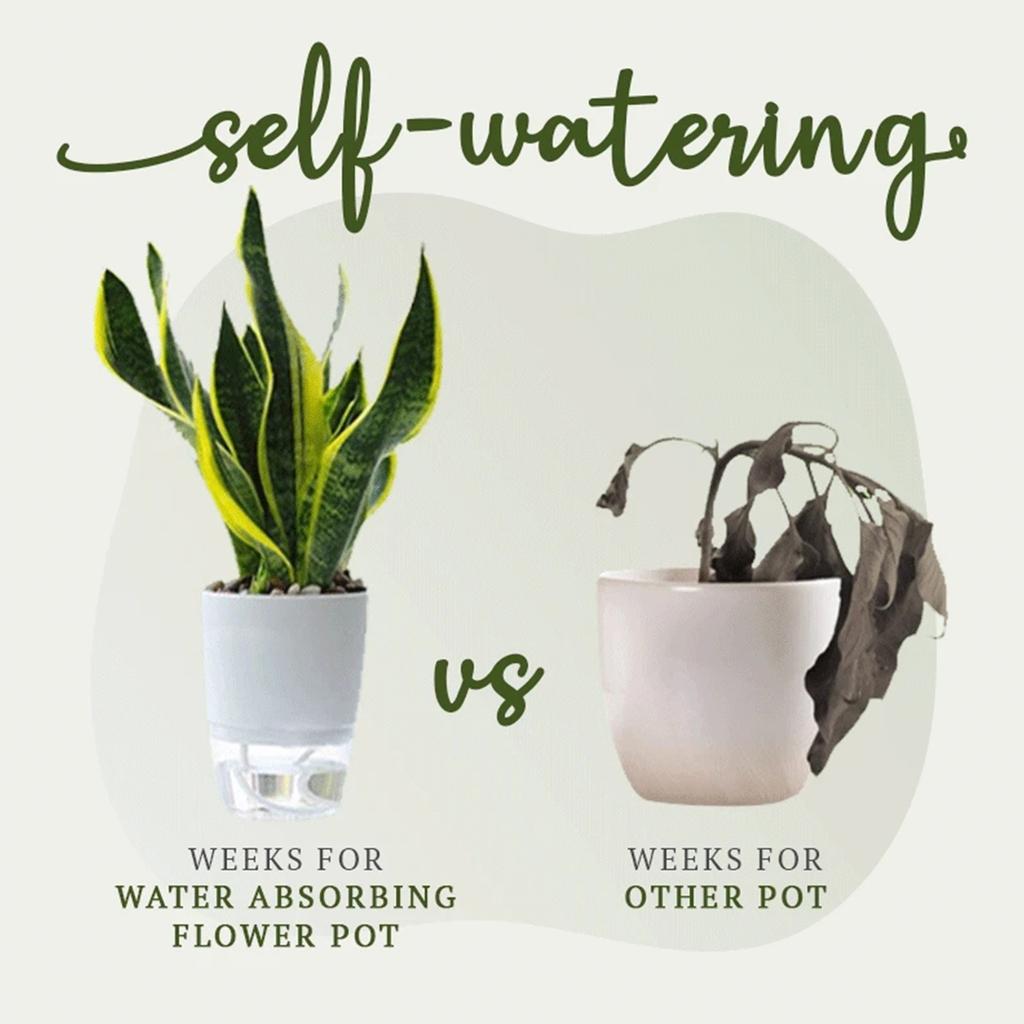Buy BS Soilless Water Absorbing Flower Pot Automatic Waterabsorbing