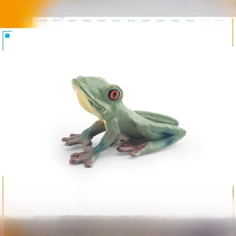 Wildlife Pvc Animal Models With Realistic Frog Collection For Children Educational Decor