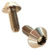 Roost Titanium Number Bolt License Plate Mounting Bolt Ti-6AL-4V GR5