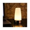 Motion Sensor Warm White Night Light Battery LED Table Lamp Wireless