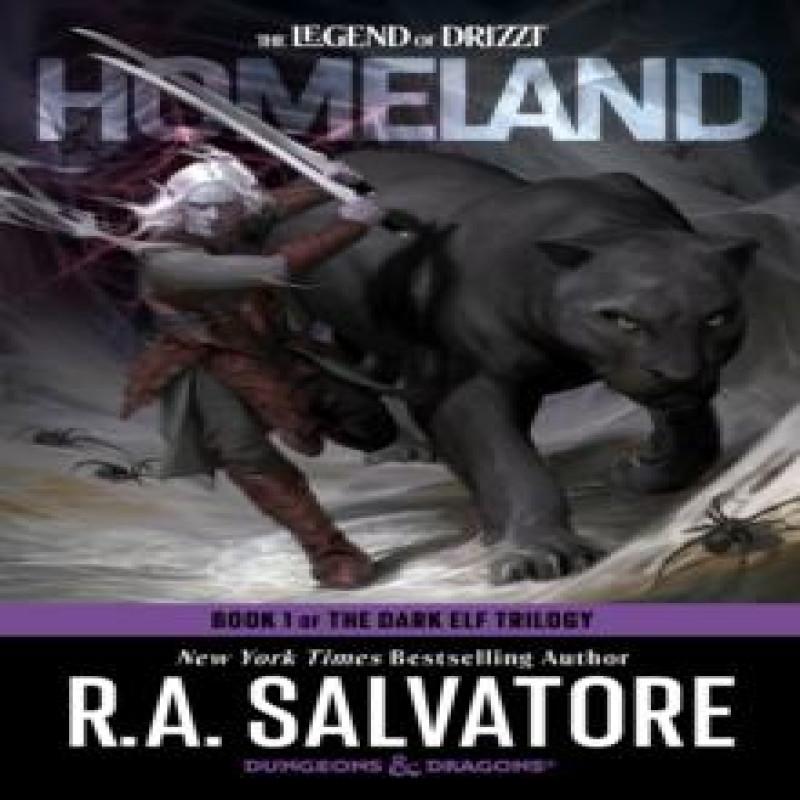 Ria Christie English Books Homeland Dungeons & Dragons Von R.A. Salvatore Taschenbuch 9780593873069