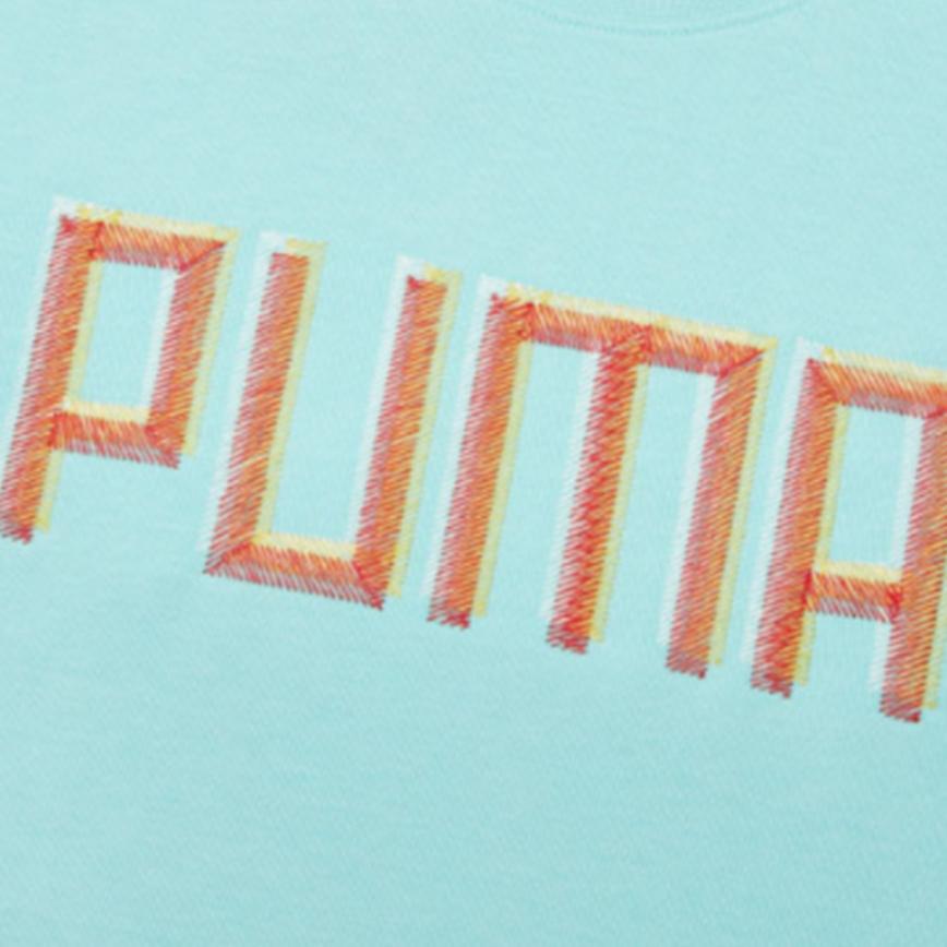 Puma Colorful Embroidered Logo Casual Crew Neck Sweatshirt Unisex Tops Aruba-Blue 532180-33