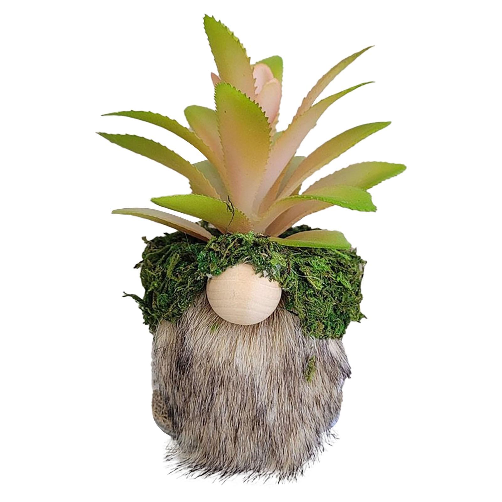 

Pots Plant Small Flower Pots For Home Decorating