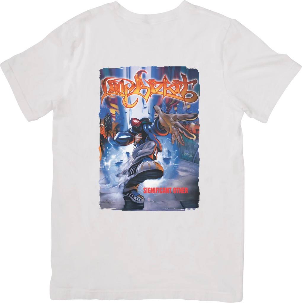 Limp Bizkit Music Unisex Fit Suitable for Men & Women Quality Cotton T-Shirt