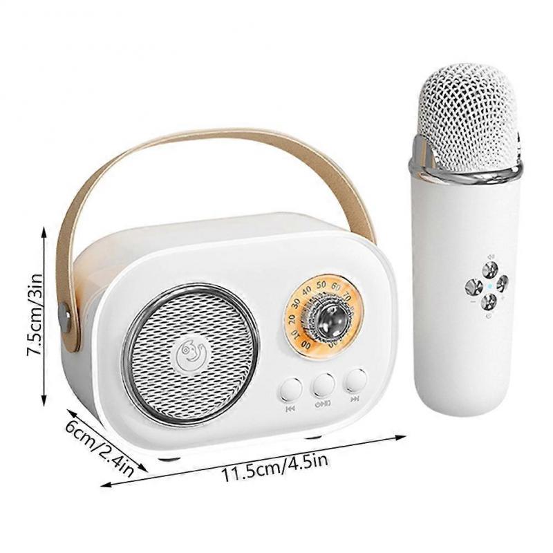 Kinder Karaoke Maschine mit Mikrofon, Tragbarer Bluetooth Lautsprecher Kabelloser Subwoofer für Kinder Geburtstag Weihnachtsgeschenk