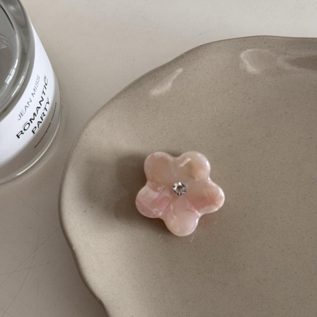 2Pcs Floral Acetic Acid Small Grab Clip Fashion Hairpin Fresh Mini Floral High-end Princess Head Cute Hair Accessory