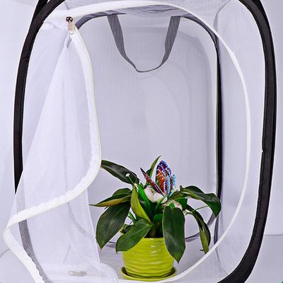 Foldable Insect Butterfly Observation Cage Insect Net Pet Insect Cage Insect Cage Grasshopper Habitat Breeding Incubator Box