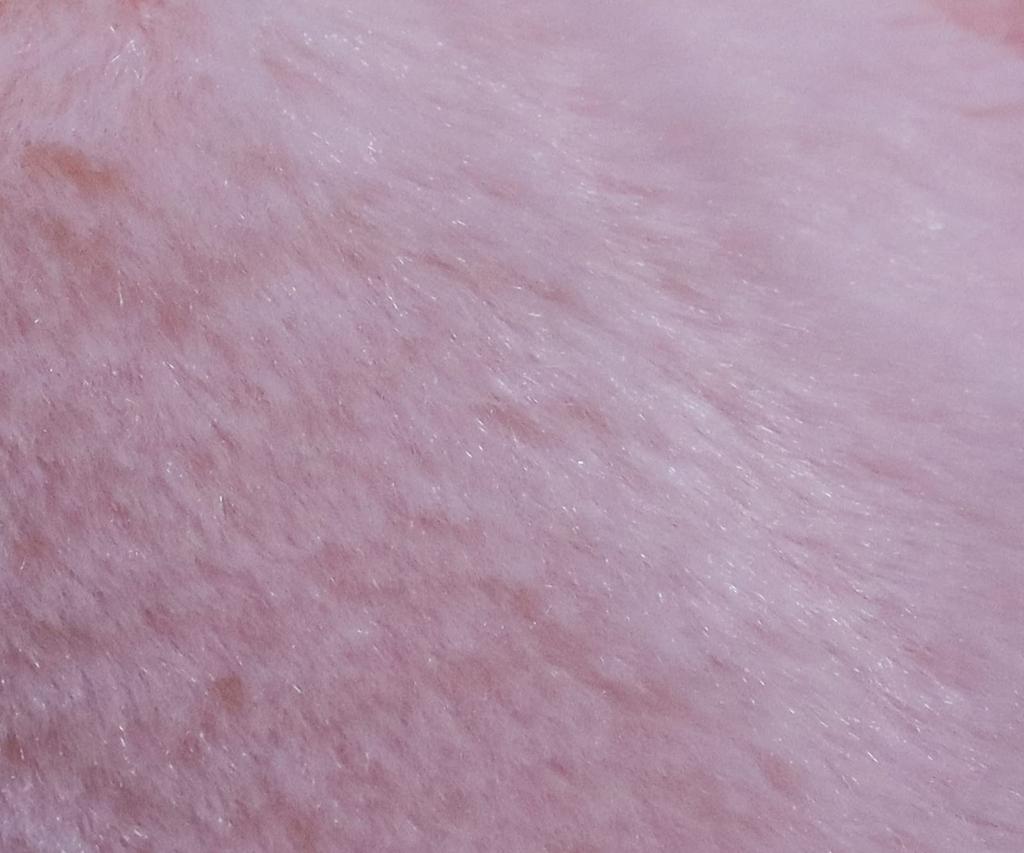 Shinada Happiness Series: The Happiness Pig (M) 15 X 16 X 32cm Plush Toy, Animal Merchandise, HPW-0200P