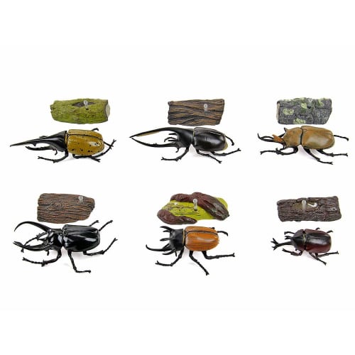 Carolata 3D Illustrated Rhinoceros Beetle Figures (6 Types / Includes Instruction Manual) Realistic Toys (Educational Toys) Birthday Gift Present (Foo