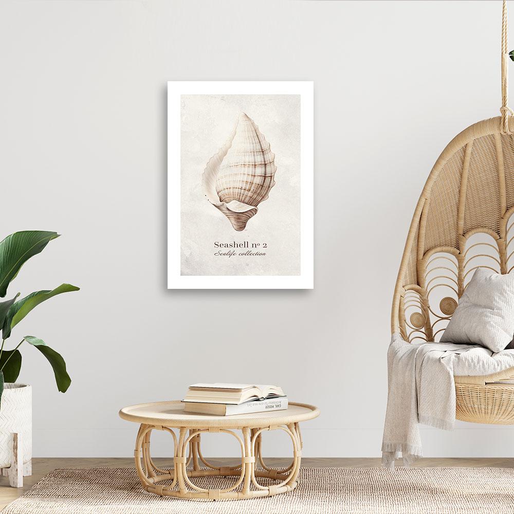Canvas Print, Shell On Natural Background