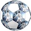 Cristiano Ronaldo Size5 Soccer Ball, Colorful, Suitable for All Ages, Machine-stitched, PVC Material, Competition Grade,durable and High Bounce
