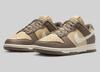 DD1873-201 Dunk Low Next Nature Brown Sesame (Women's)