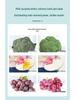 Custom 20KG Anion-Free Food Grade Dish Soap for Kitchen & Produce