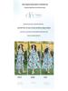 Elegant Plus Size Floral Cotton-Silk Sleeveless Summer Dress