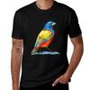 Painted Bunting Colorful Bird Tshirt Cotton T Shirt Pack T Shirt Unisex 100 Cotton Luxury Brand Unisex T Shirts Cotton Tshirt