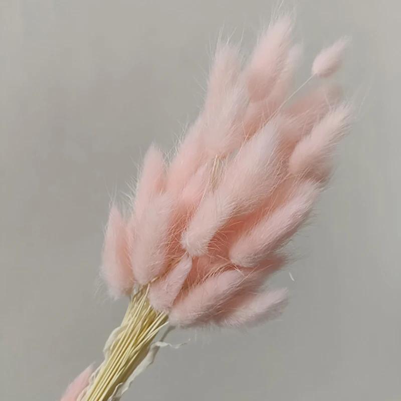 60 Stück Natur Hasenschwanzgras Trockenblumenstrauß Hochzeitsfeier Deko Flauschiges Pampasgras Weihnachten DIY Blumengesteck