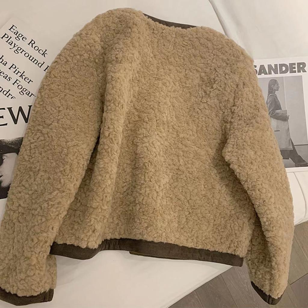 2026 New Autumn Winter Women's Lamb Wool Plush Jacket, Loose Thickened Shearling Short Coat in Chic Style