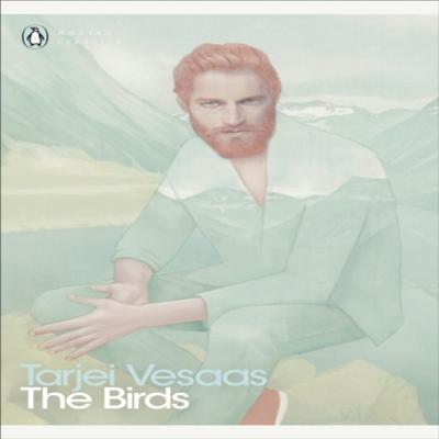 The Birds by Tarjei Vesaas Paperback Book 9780241384879
