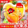 XianZhiBao Fruit & Tea Jellies