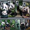 Panda Baby, Giant Panda Family Phone Case For Xiaomi Poco X7 X6 M8 M7 M6 M4 M3 X4 Pro F7 Ultra M5S Mi 14 14T 15 15T 12T 10T Pro