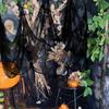 Halloween Gauze Ornaments Wall Hanging Black Polyester Home Garden Holiday Supplies