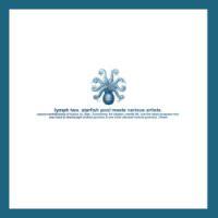 

12inch Record STARFISH POOL VARIOUS Lymph Two LYMPH2 Lymph Ltd. 2000 Europe Dance Electronica Used