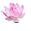10cm Double-Layer Lotus with Half Petals for Buddha Fish Tank Decoration