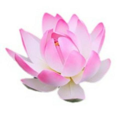 10cm Double-Layer Lotus with Half Petals for Buddha Fish Tank Decoration