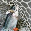 LUCKY CRAFT Wow 37F Fishing Lure Sesame Ball Miso (2940 GG)