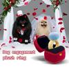 Love Heart Ring Box Plush Toy For Super Big Rings Box Set Valentine'S Day Gift Wedding Diamond Ring Doll Dog Wedding Engagement