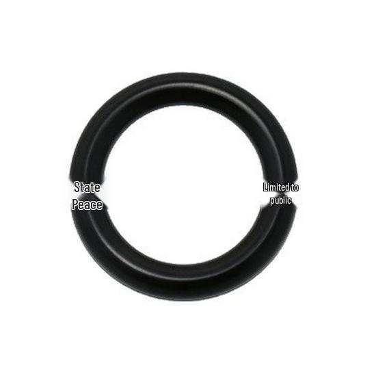 Rubber Ring LR000869 C2S50598 for 2012 Land Rover Range Rover Evoque