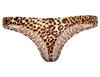 DauStage Leopard Size Men's T-Back Panties, Print, Underwear, 2-Pack (12, 2-Color Set, L)