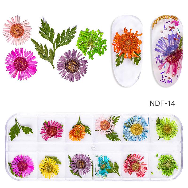 1Box Dried Flowers Dry Plants for Rsein Molds Fillings Epoxy Resin Pendant Tweezers Jewelry Making Craft DIY Nail Art Decoration