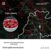 Taishoutang Schisandra Chinensis Berries (250g)