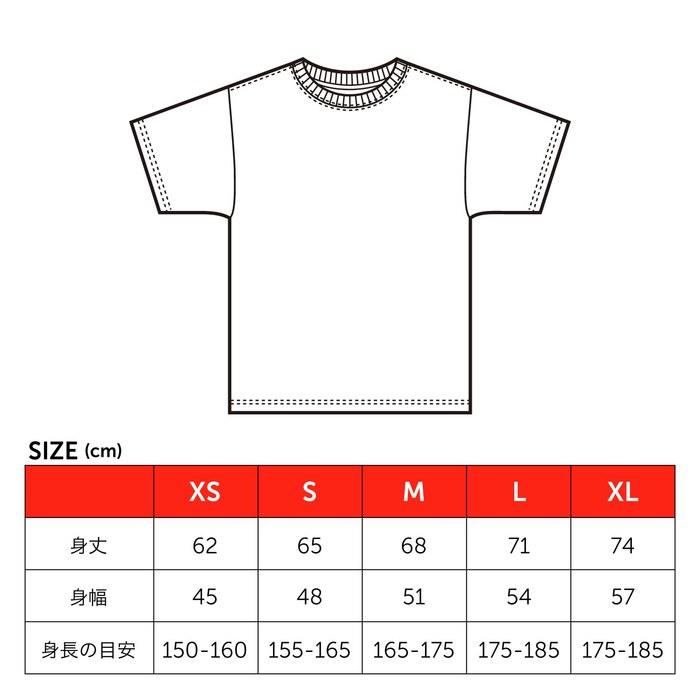 Beefy T-Shirt 2-Pack, 100% Cotton, Heavyweight, Tagless, H5180-2-010-L, White