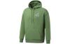 X Santa Cruz Sweatshirts Men's Green Hooded Moderate Regular 532240-67