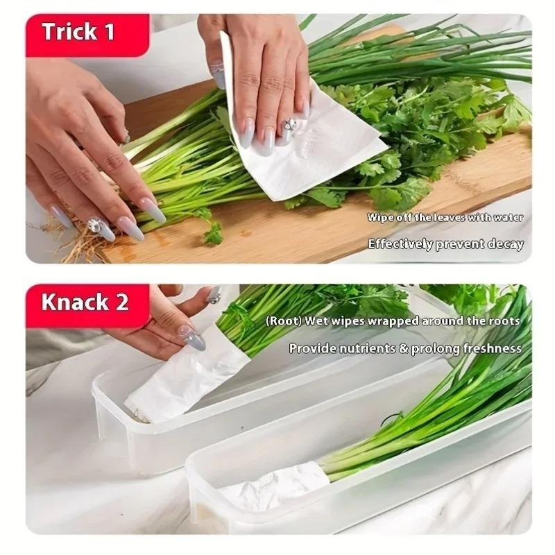 Refrigerator Fresh-keeping Organizer Boxes Vegetable Fruit Fresh-keeping Food Preservation Boxes Transparent Sealed Storage Box