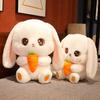 Cartoon Turnip Rabbit Plush Toy Cute Children Sleep With Girls Holiday Gifts