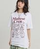 WAIKEI Maltese Crew Line Graphic Short Sleeve T-Shirt White & Red
