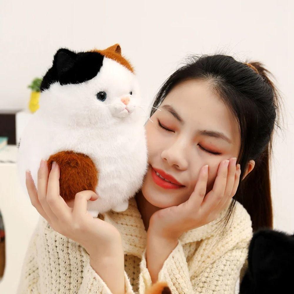 Anime Movie Animal Cat Plush Doll Cartoon Anime Peripherals Dolls Stuffed Toys Cat Plush Toys  Fans