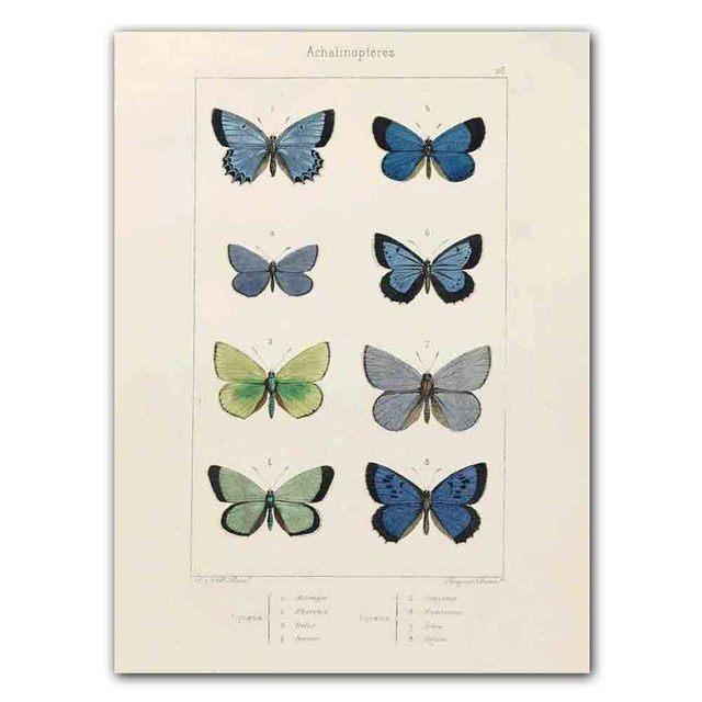 Nordic RETRO Art Canvas Painting Butterfly Insect Evolution Poster Living Room Corridor Wall Painting Home Decoration Mural No Frame