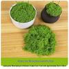 Artificial Moss Silk Grass Lawn for Landscaping and Decoration